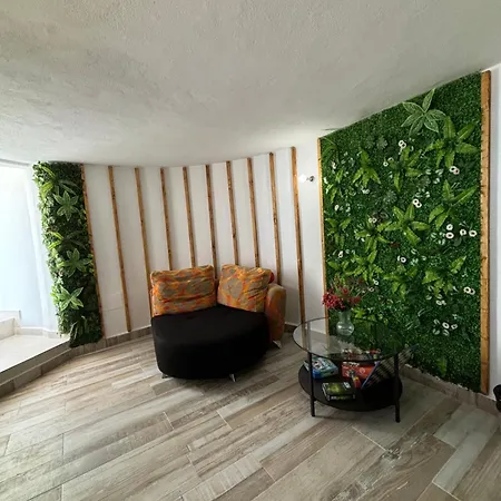 Вилла Canela Саусаль